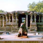 Warangal Bulk SMS